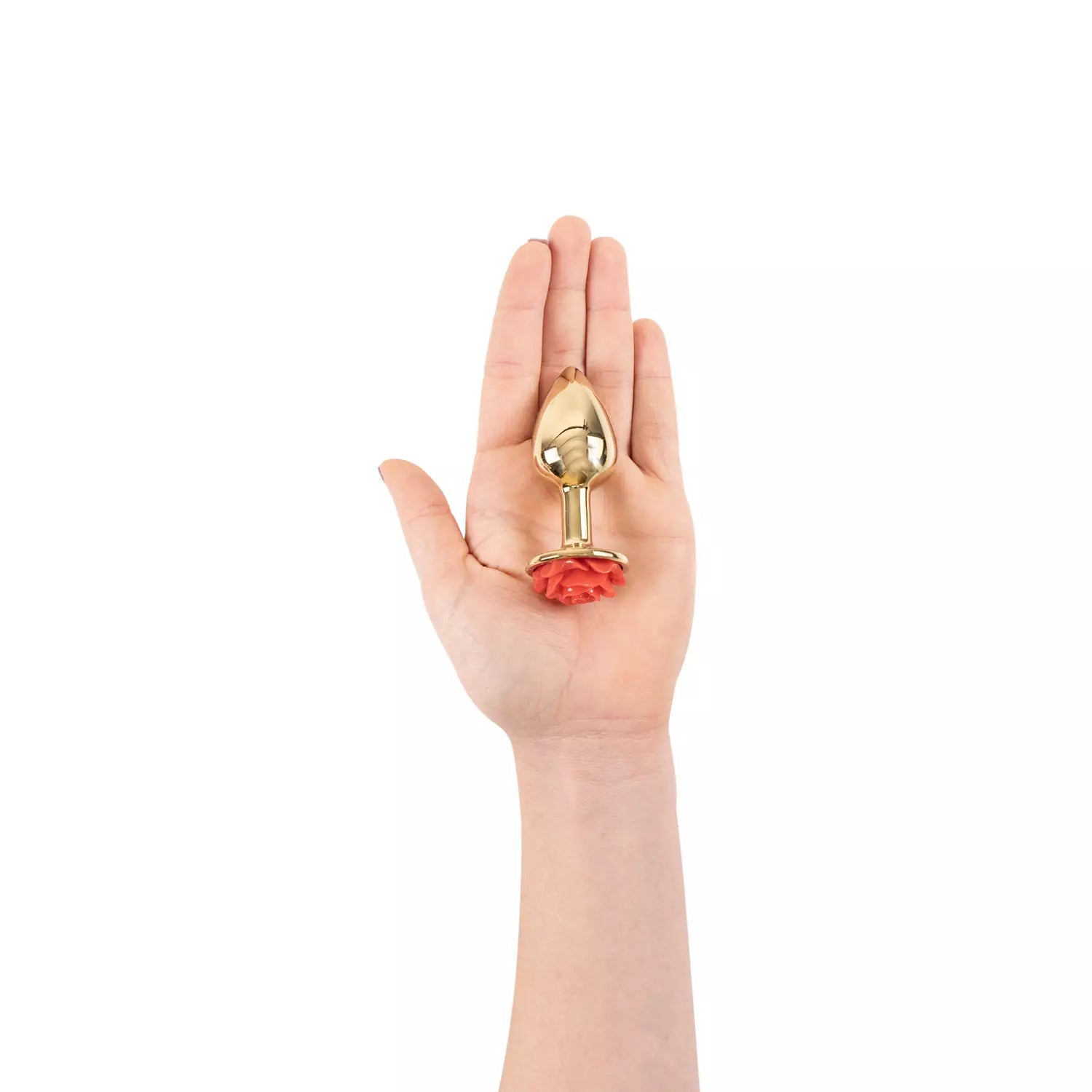 plug-gaia-camtoyz
