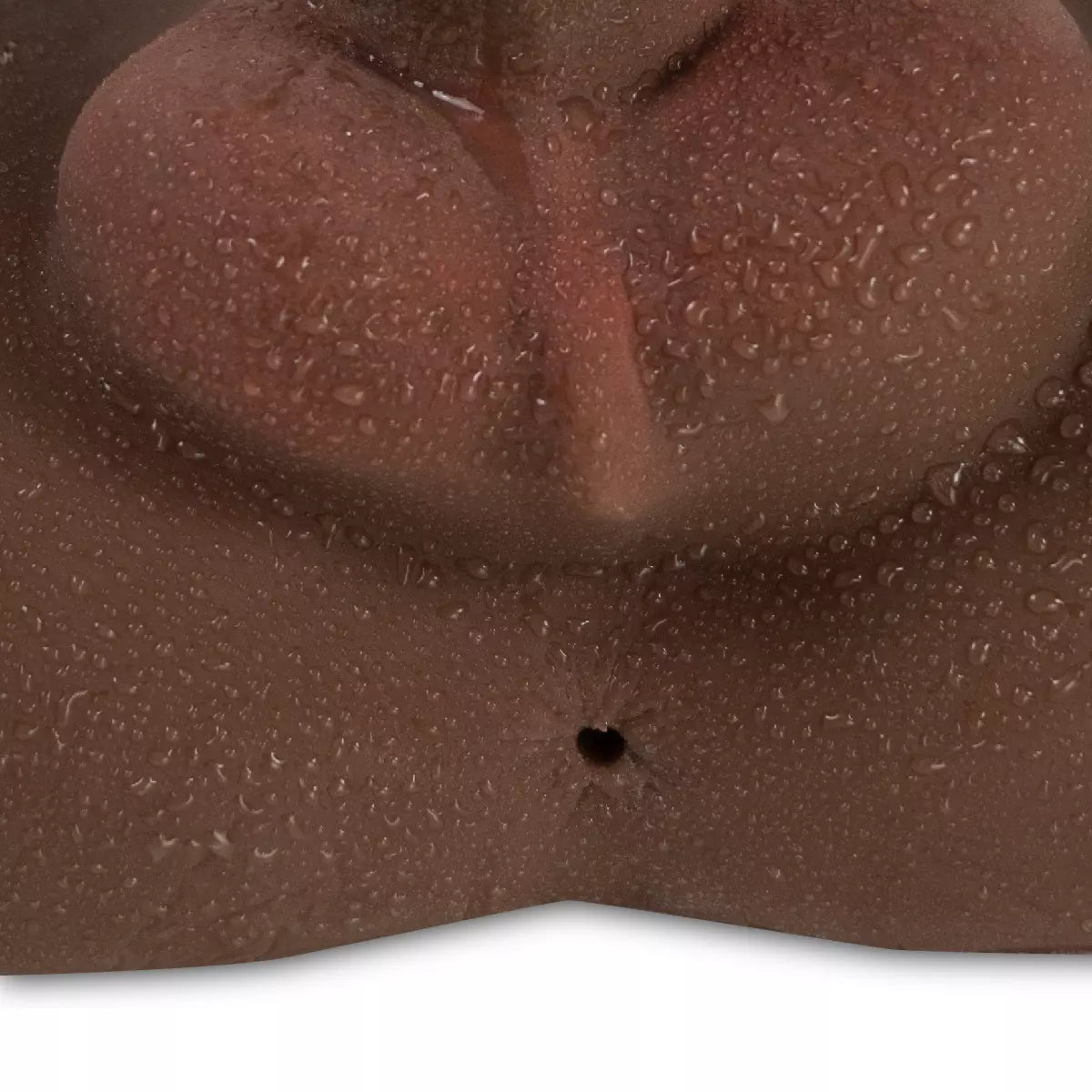 torso-realista-camtoys