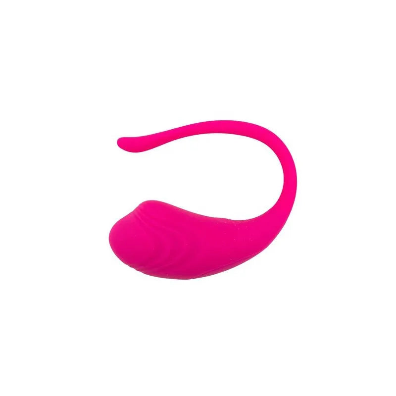 Huevo Vibrador Joy- Salvaje Sex Store