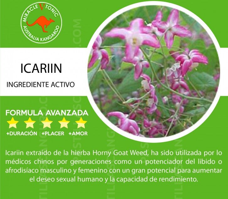 Potenciador Sexual Kangaroo x 12 unidades-Salvaje Sex Store