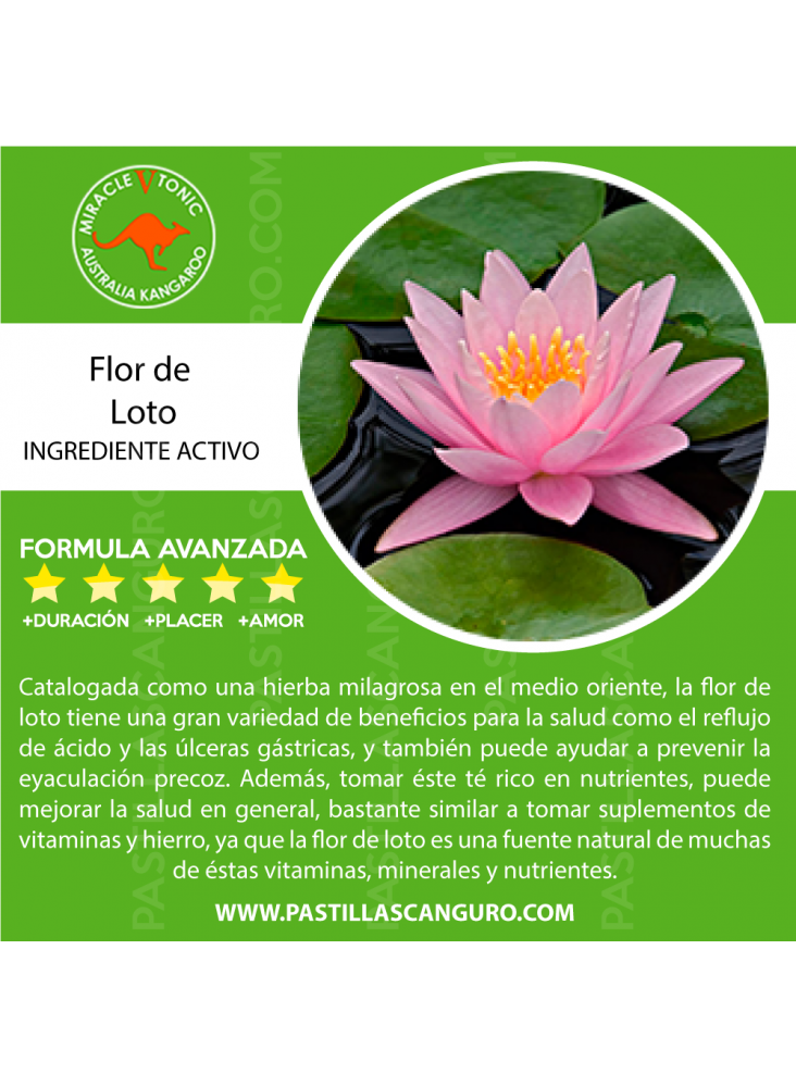 Potenciador Sexual Kangaroo x 12 unidades-Salvaje Sex Store